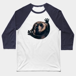 Raccoon Pedro Pedro funny viral meme Baseball T-Shirt